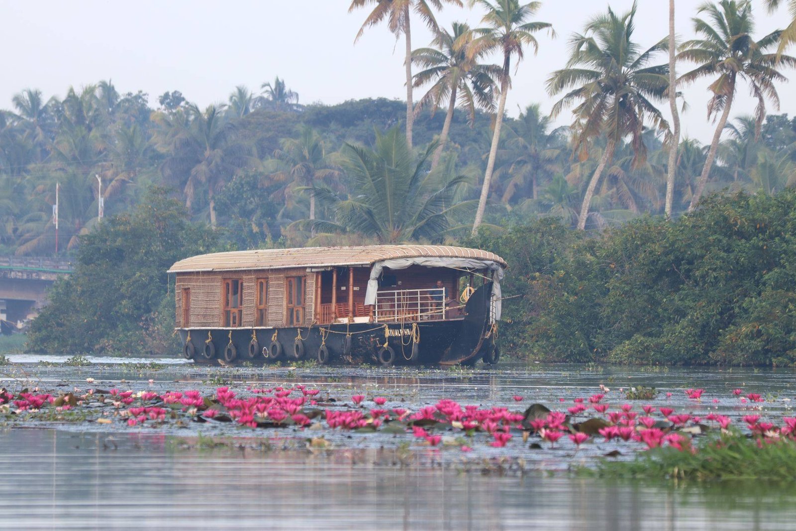 Lagoon Pearl 1 bedroom private houseboat on the backwaters with pink water lilies