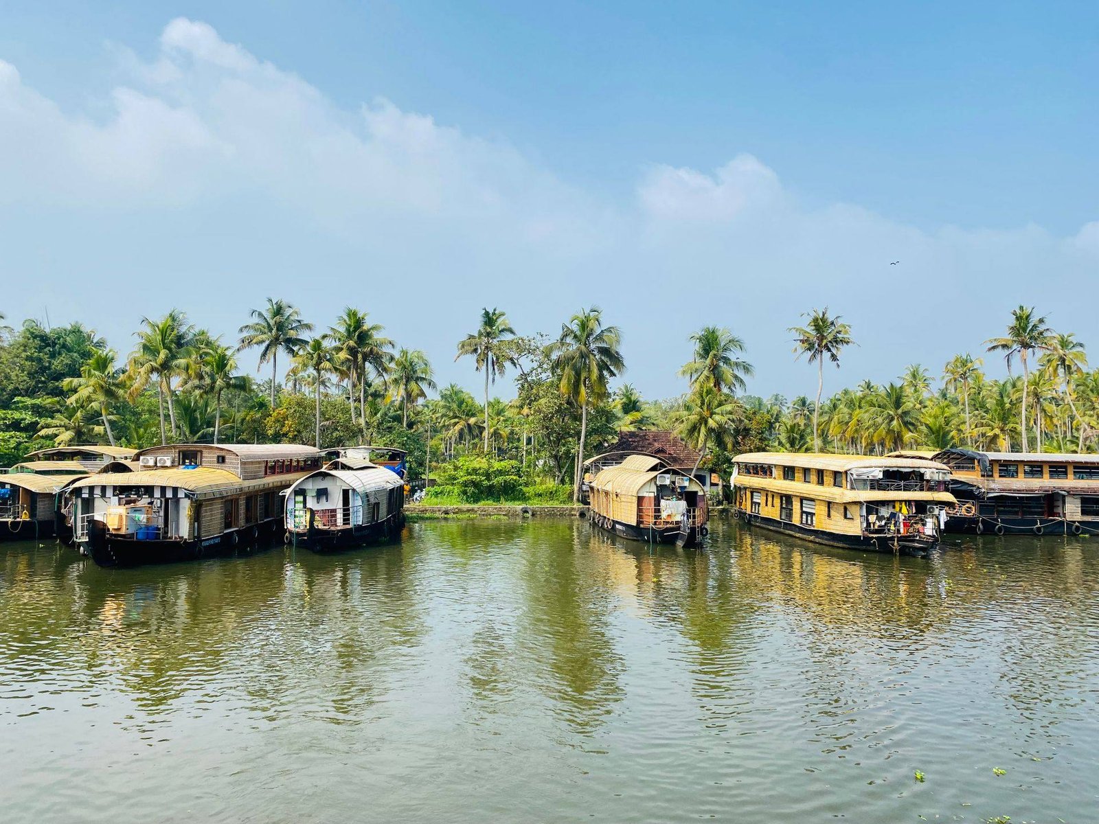 Deluxe Shared 1 Bedroom Houseboat in Alleppey