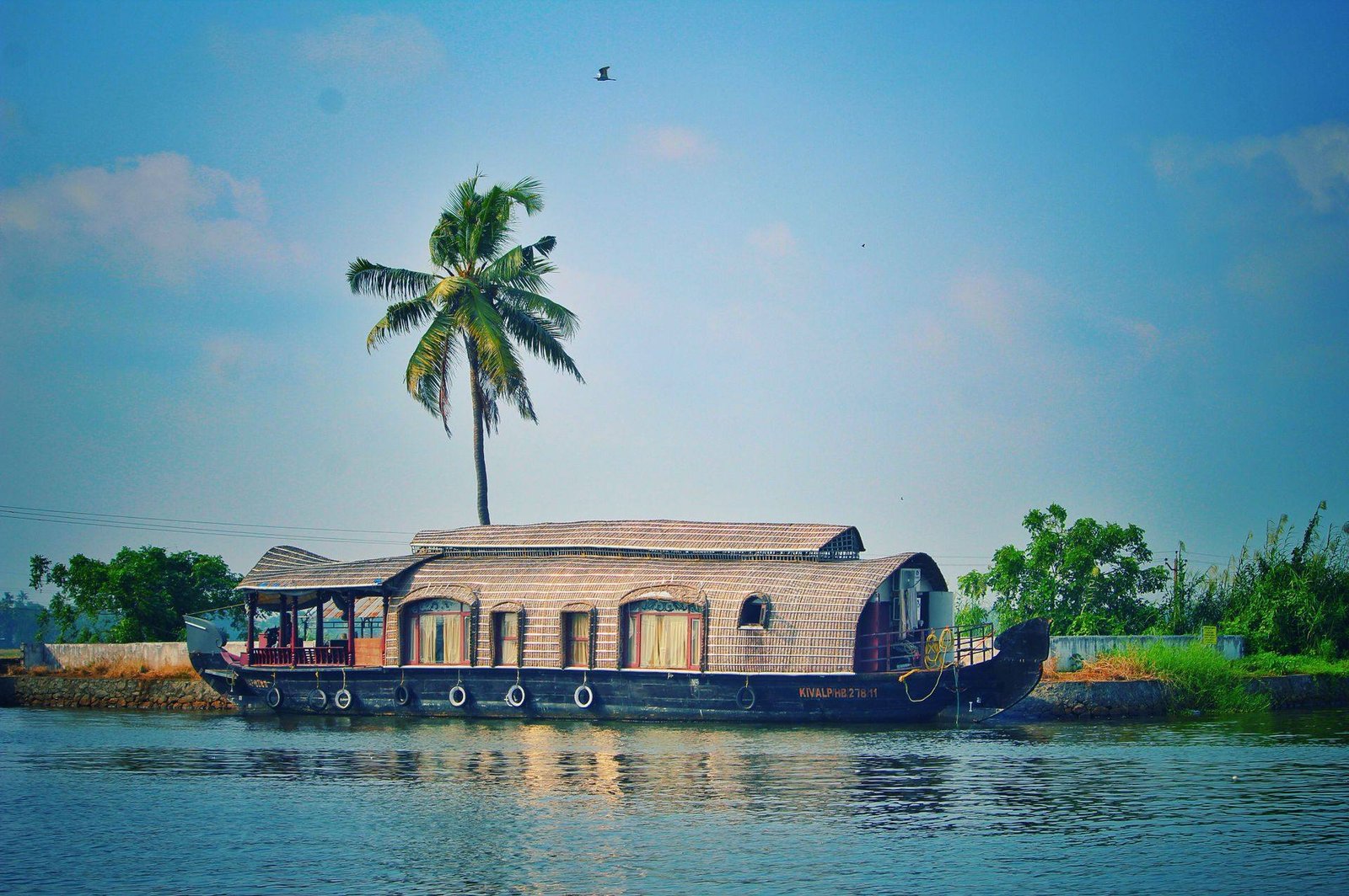 Kumarakom Pavilion premium 3 bedroom houseboat moored by a palm on the Kerala backwaters
