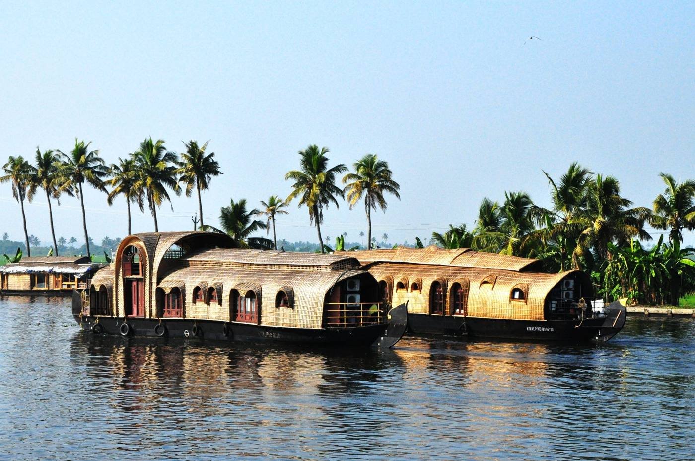 Chennamkary Courtyard deluxe 4 bedroom group houseboat moored by palms
