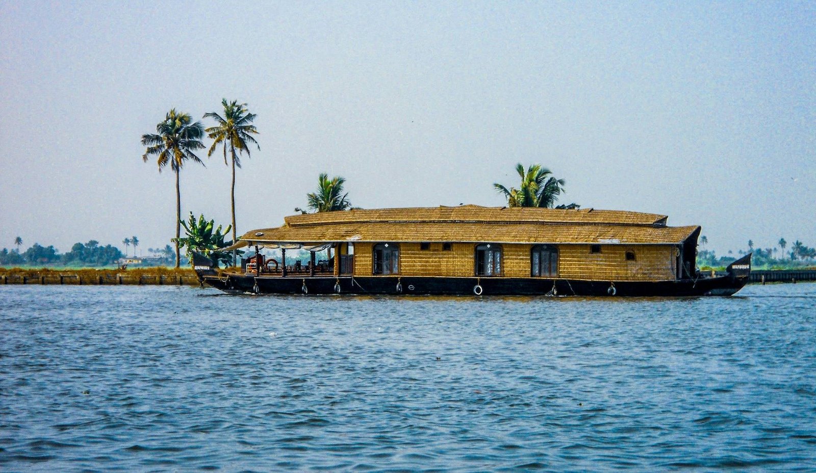 Shared Palm Quay budget houseboat with palm trees on the Alleppey backwaters