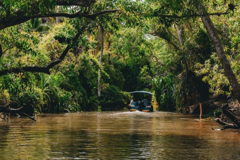 Alleppey & Kumarakom Houseboat Package – 2 Nights