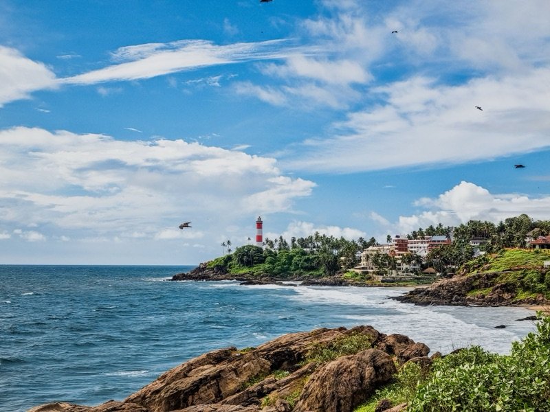 8-Day Grand Kerala Tour: Hills, Houseboat & Beaches