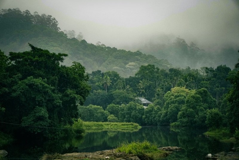 5-Day Munnar, Thekkady & Alleppey Houseboat Tour